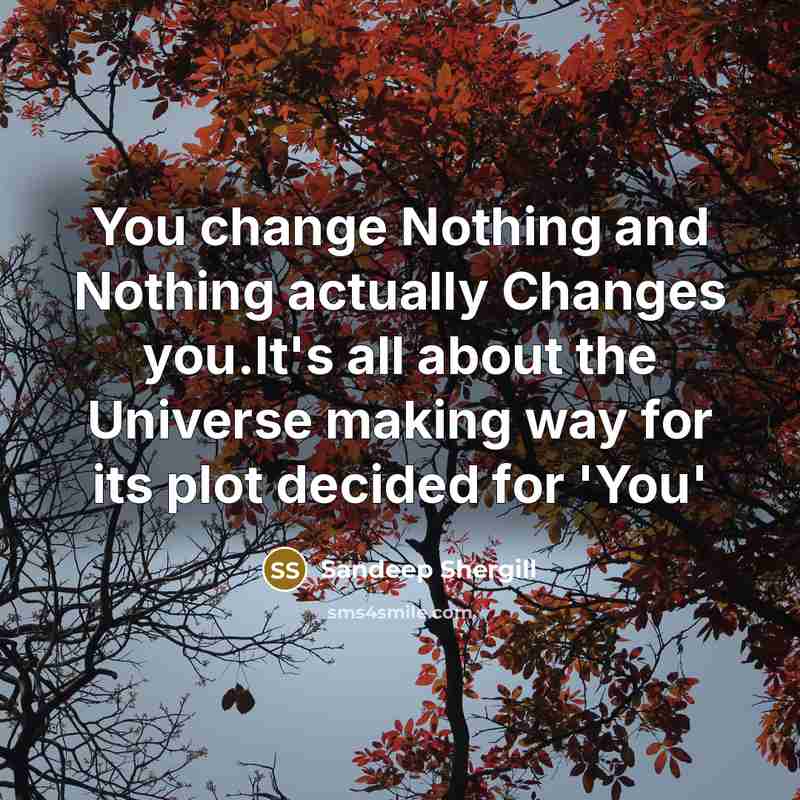 “You change Nothing and Nothing actually Changes you.It's all about…” quote by Sandeep Shergill