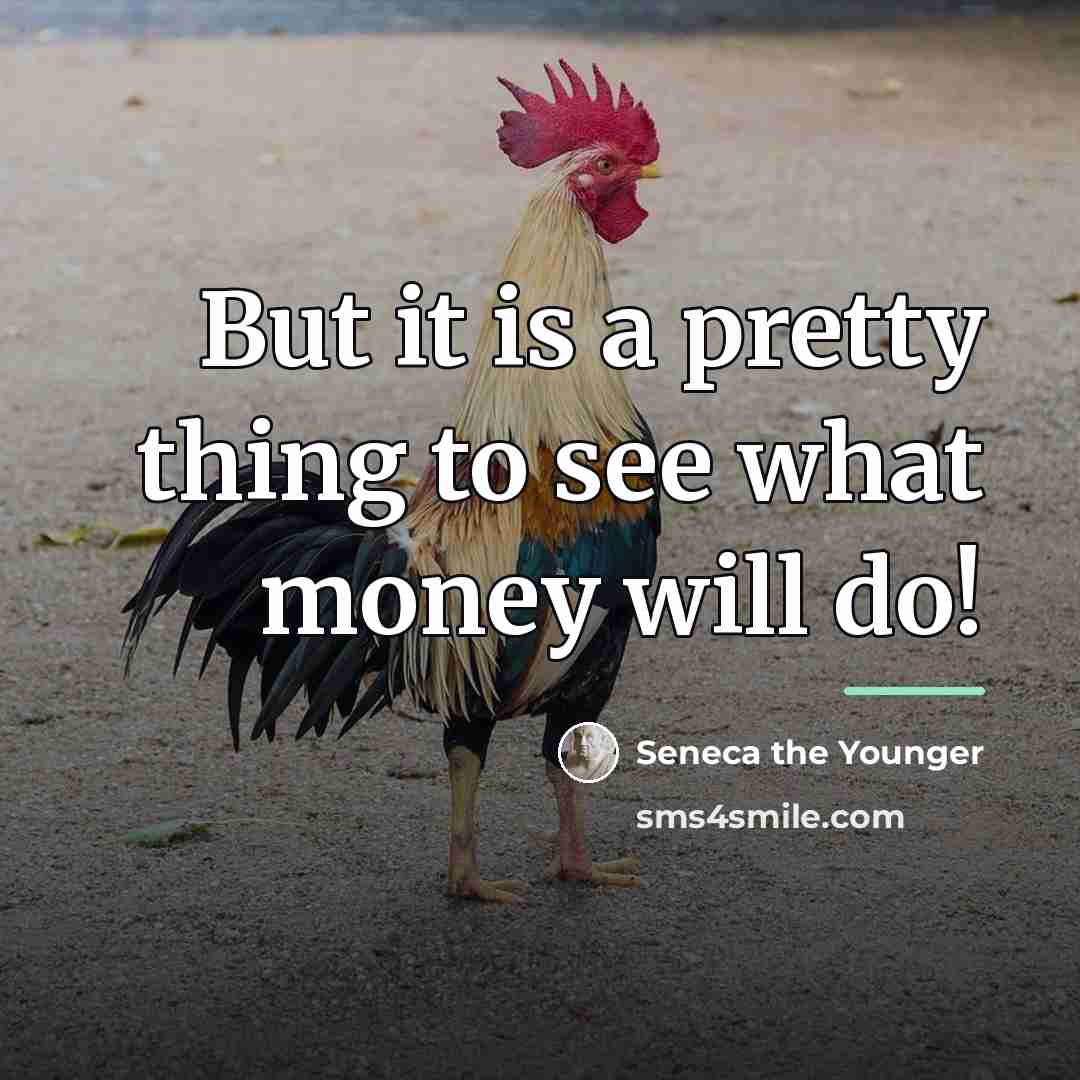 “But it is a pretty thing to see what money…” quote by Seneca the Younger