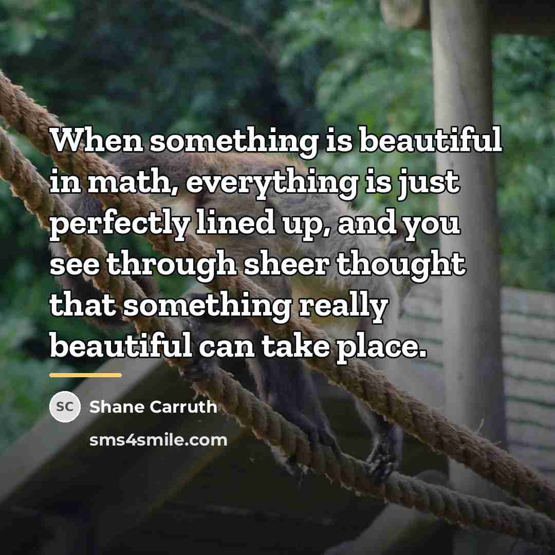 “When something is beautiful in math, everything is just perfectly…” quote by Shane Carruth