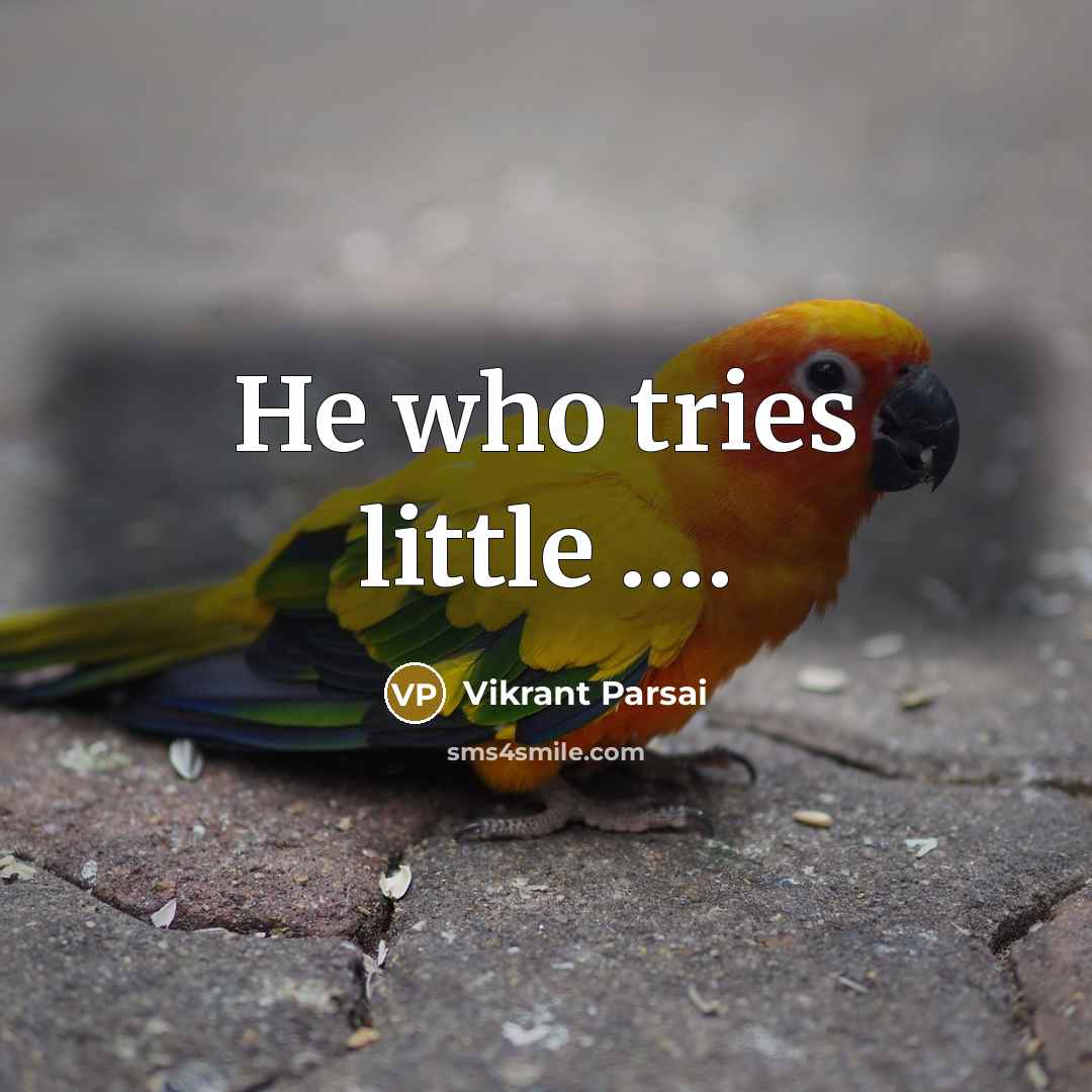 “He who tries little .........…” quote by Vikrant Parsai