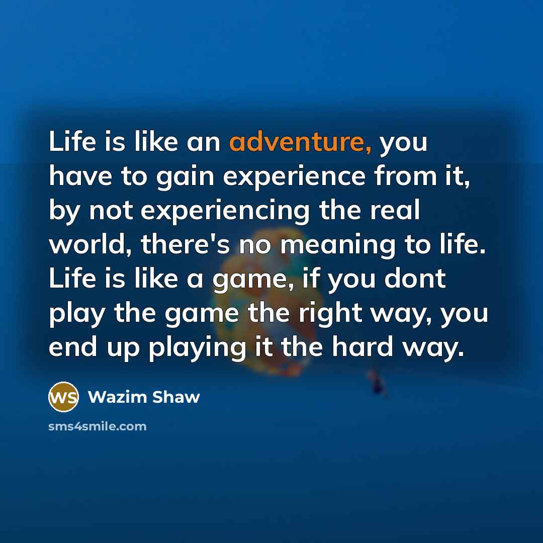 “Life is like an adventure, you have to gain experience…” quote by Wazim Shaw