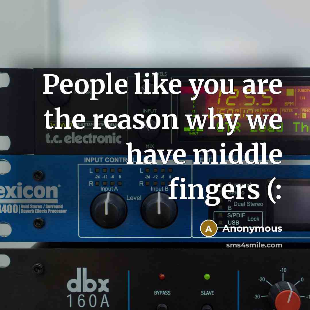 “People like you are the reason why we have middle fingers (:” quote by Anonymous