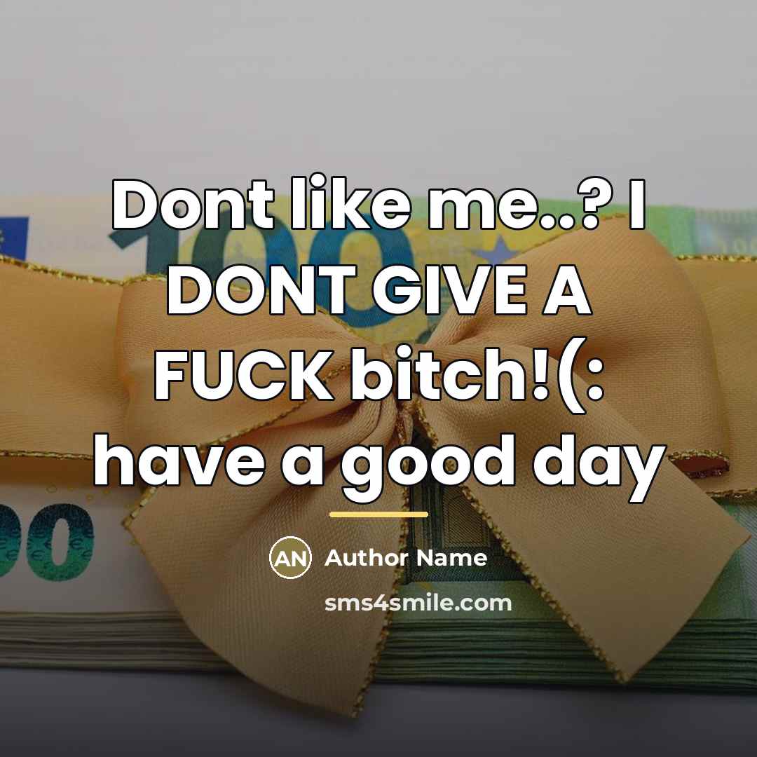 “Dont like me..? I DONT GIVE A FUCK bitch!(: have…” quote by Author Name