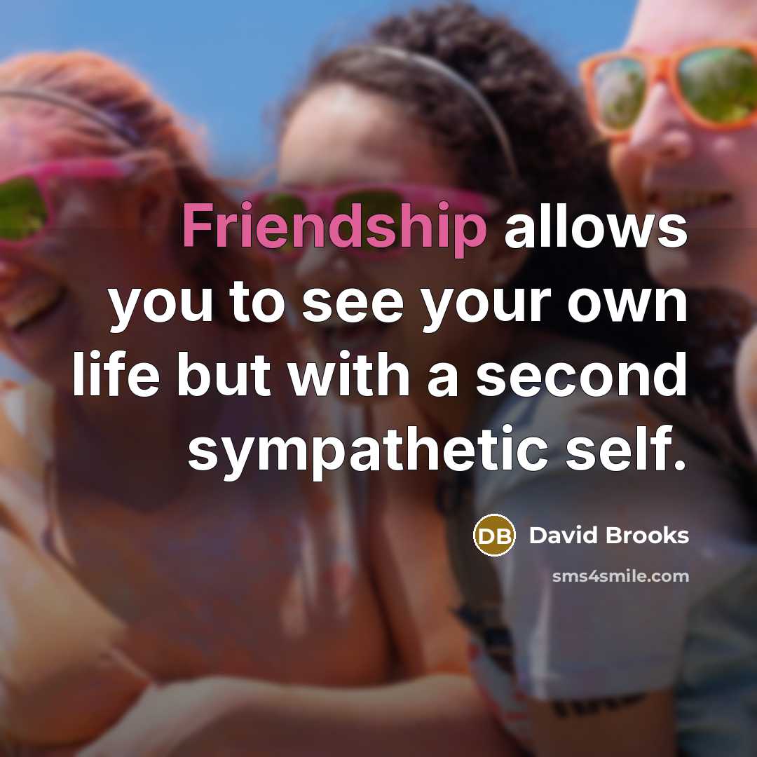 “Friendship allows you to see your own life but with…” quote by David Brooks