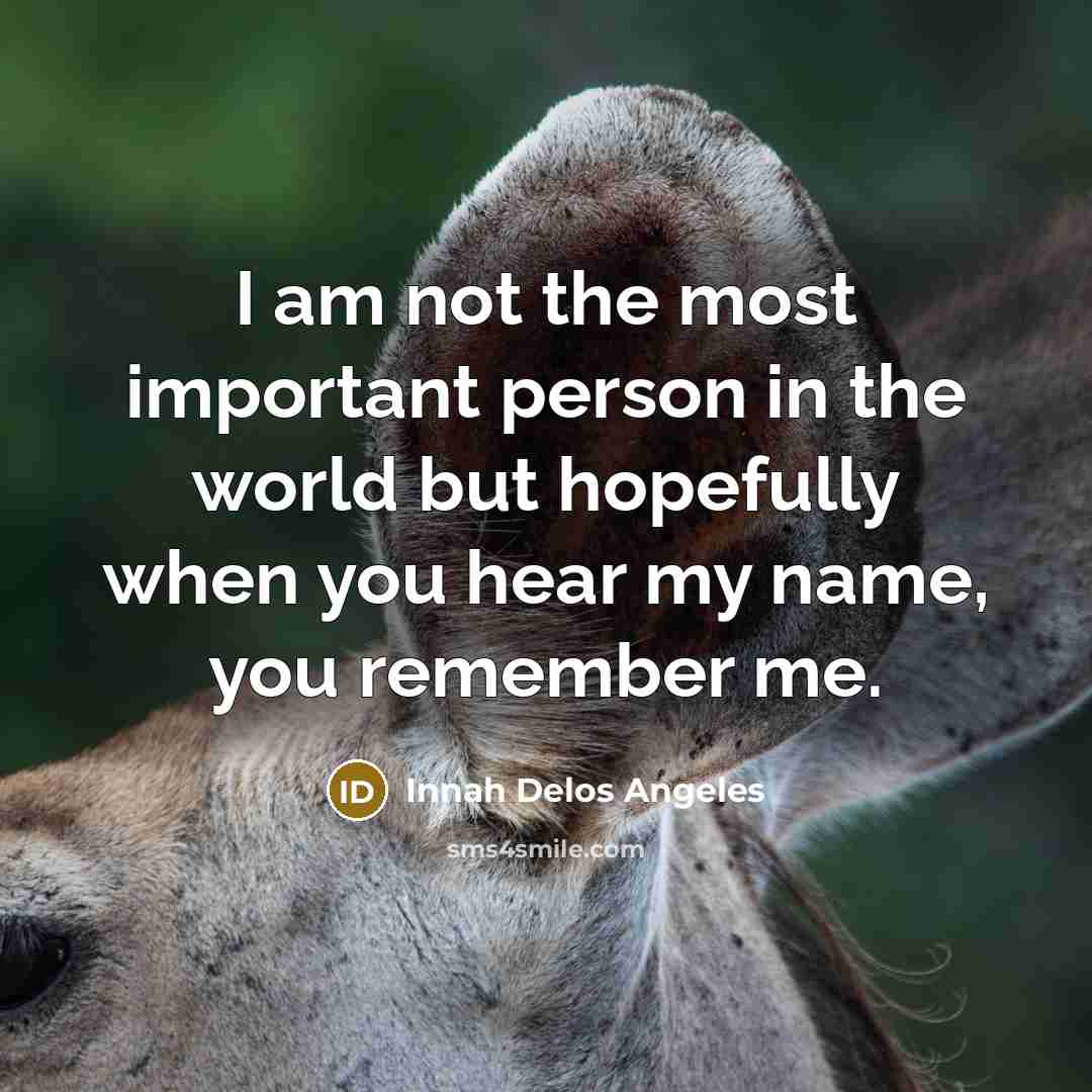 “I am not the most important person in the world…” quote by Innah Delos Angeles