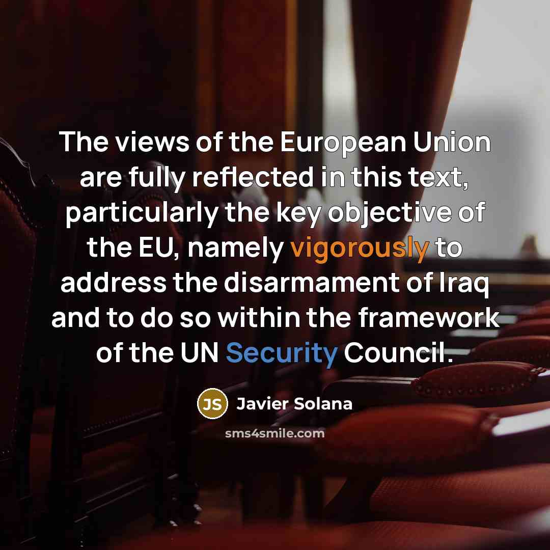“The views of the European Union are fully reflected in…” quote by Javier Solana