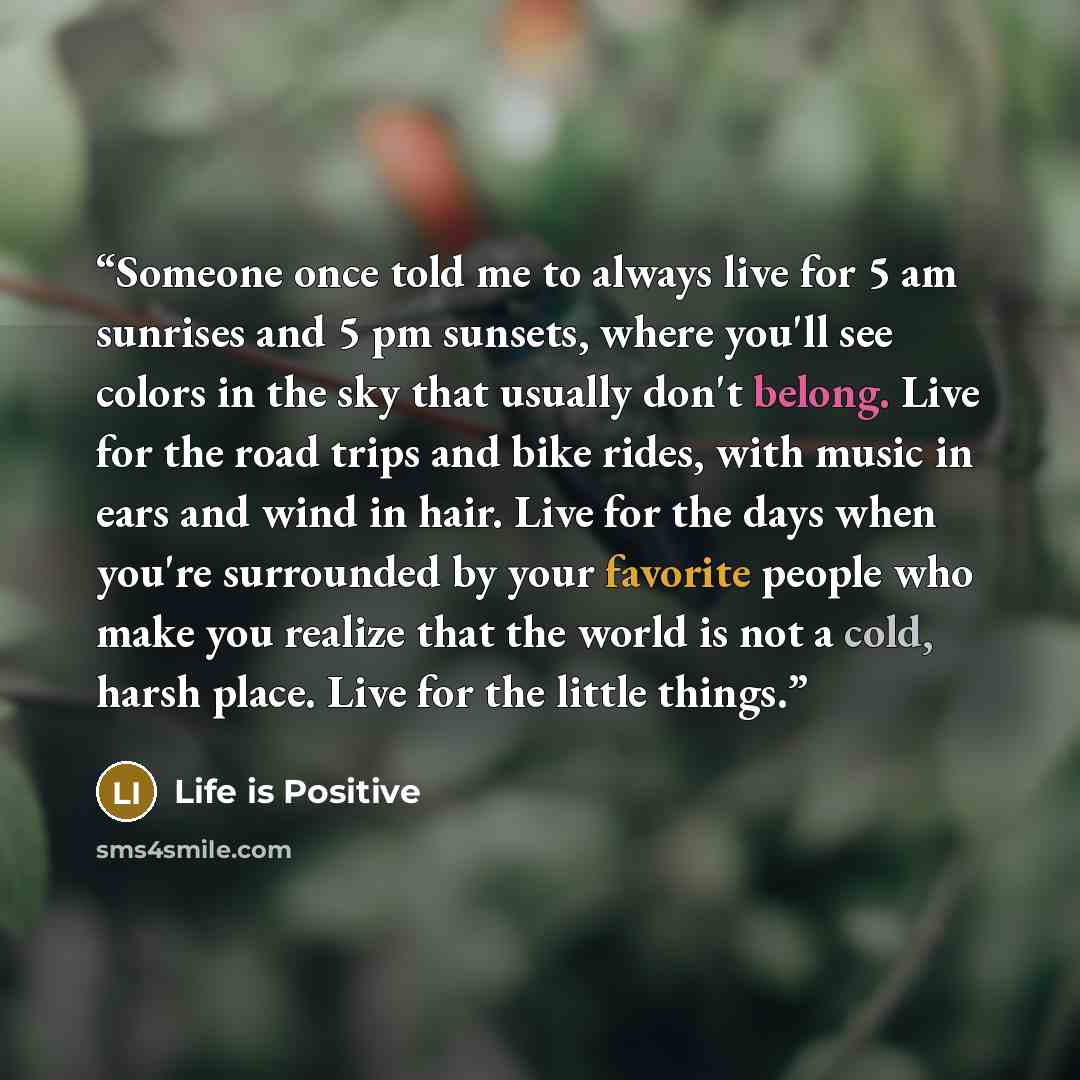 “Someone once told me to always live for 5 am sunrises and 5 pm sunsets, where you'll see colors in the sky that usually don't belong. Live for the road trips and bike rides, with music in ears and wind in hair. Live for the days when you're surrounded by your favorite people who make you realize…” quote by Life is Positive
