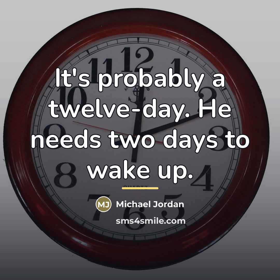 “It's probably a twelve-day. He needs two days to wake…” quote by Michael Jordan