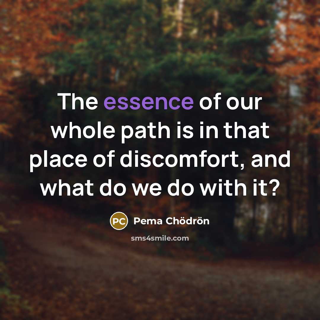 “The essence of our whole path is in that place…” quote by Pema Chodron