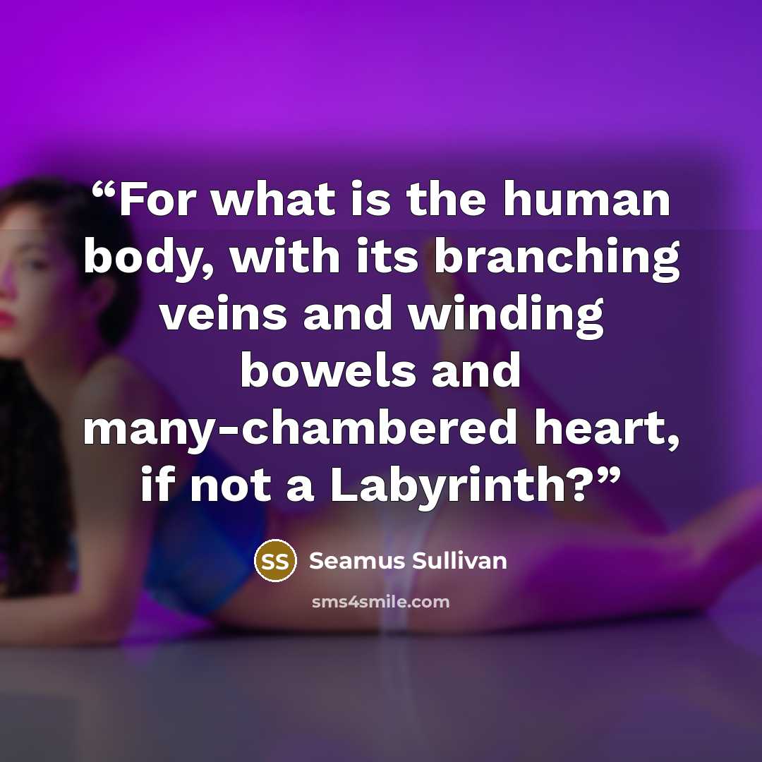 “For what is the human body, with its branching veins and winding bowels and many-chambered heart, if not a Labyrinth?” quote by Seamus Sullivan