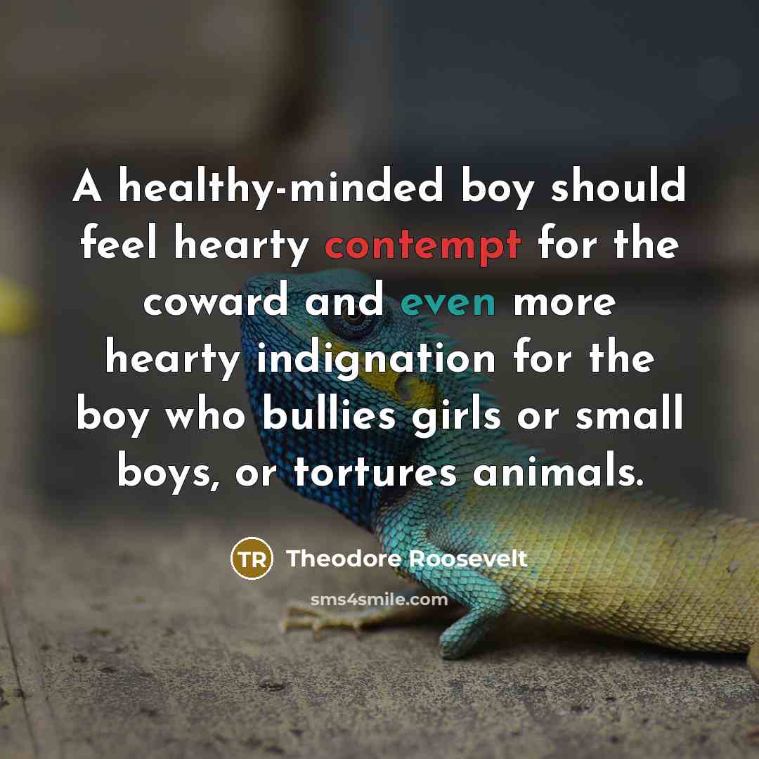 “A healthy-minded boy should feel hearty contempt for the coward…” quote by Theodore Roosevelt