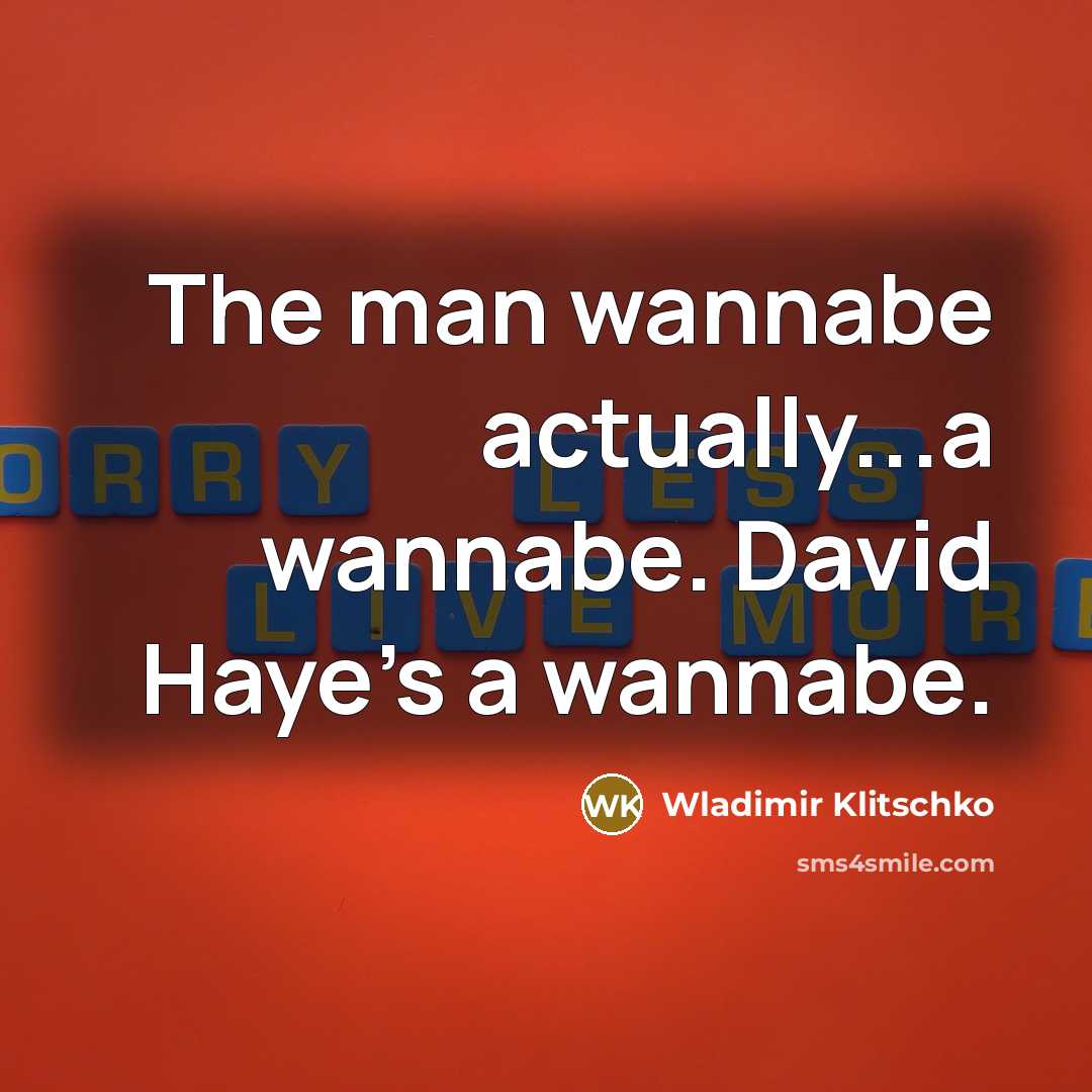 “The man wannabe actually...a wannabe. David Haye's a wannabe.…” quote by Wladimir Klitschko