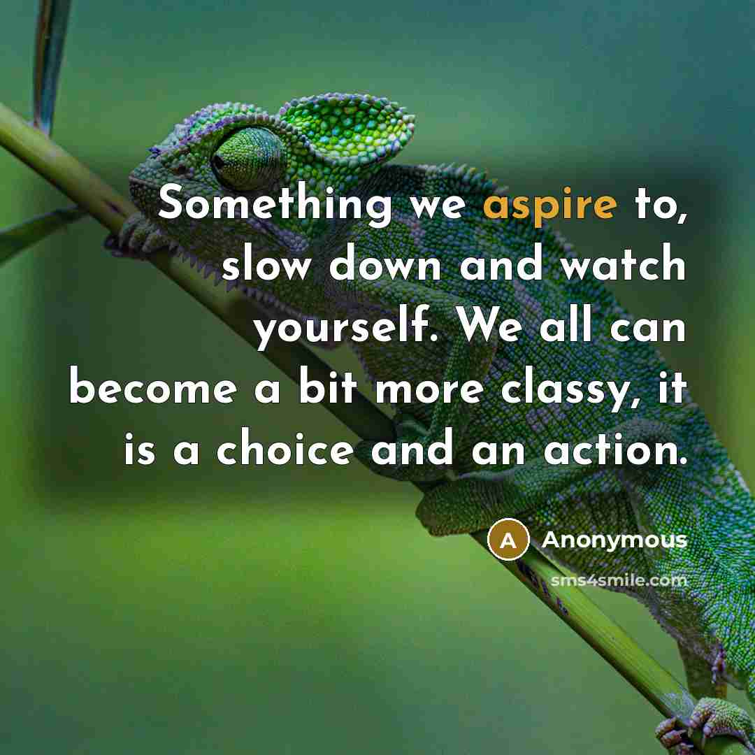 “Something we aspire to, slow down and watch yourself. We all can become a bit more classy, it is a choice and an action.” quote by Anonymous