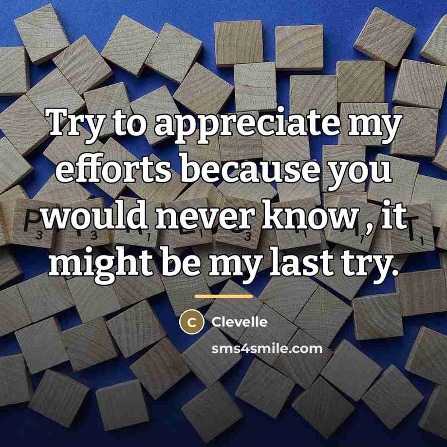 “Try to appreciate my efforts because you would never know…” quote by Clevelle