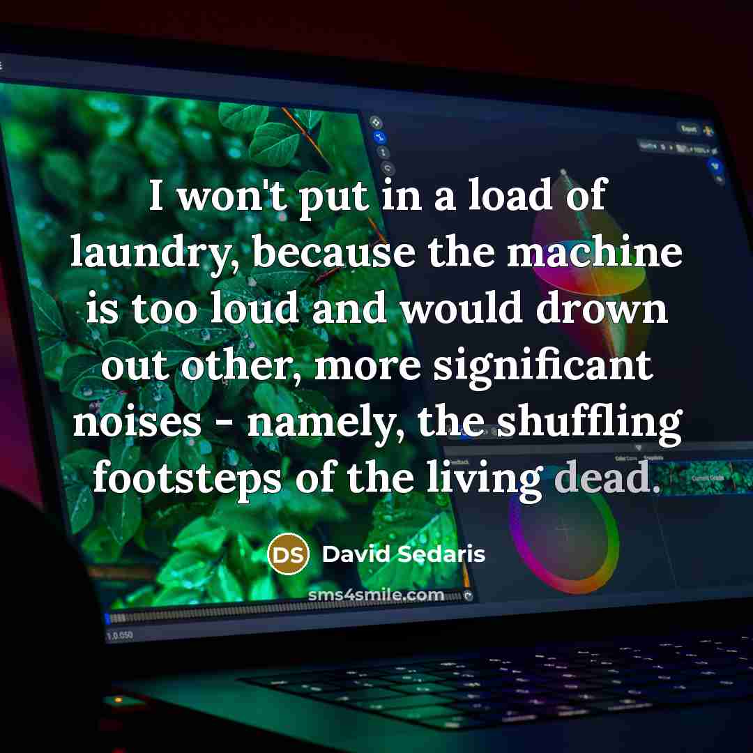 “I won't put in a load of laundry, because the…” quote by David Sedaris