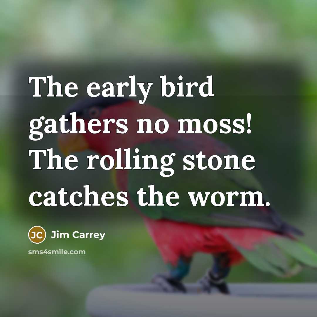 “The early bird gathers no moss! The rolling stone catches…” quote by Jim Carrey