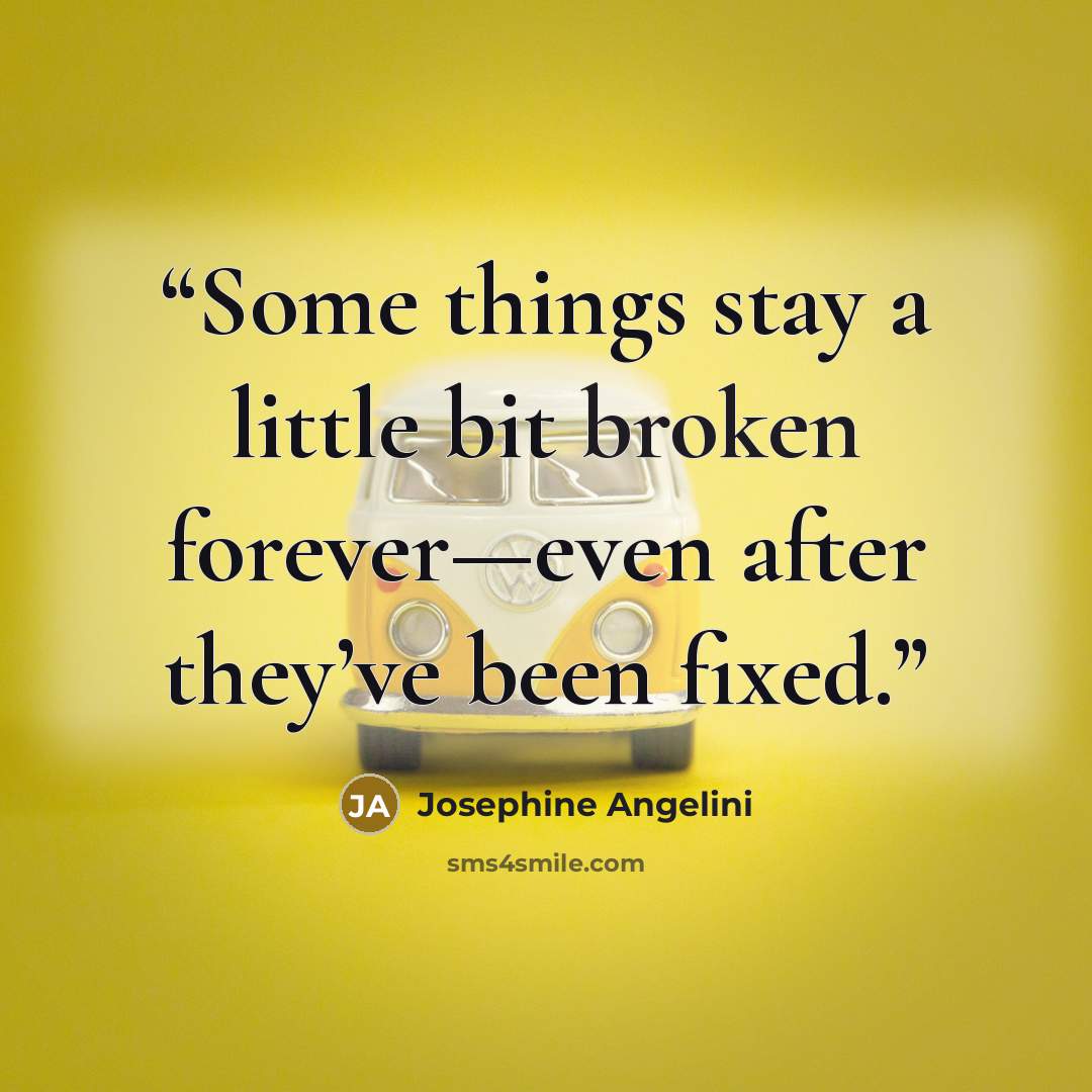 “Some things stay a little bit broken forever—even after they’ve been fixed.” quote by Josephine Angelini
