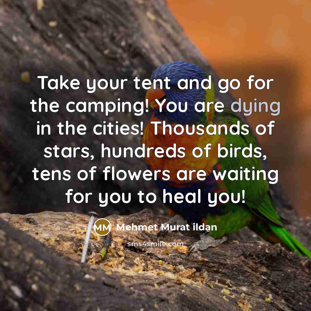 “Take your tent and go for the camping! You are…” quote by Mehmet Murat Ildan