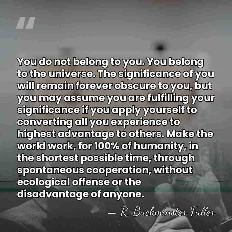 You do not belong to you. You belong to the universe. The&hellip; - R. Buckminster Fuller