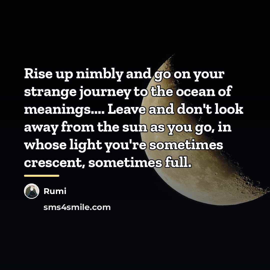 “Rise up nimbly and go on your strange journey to…” quote by Rumi