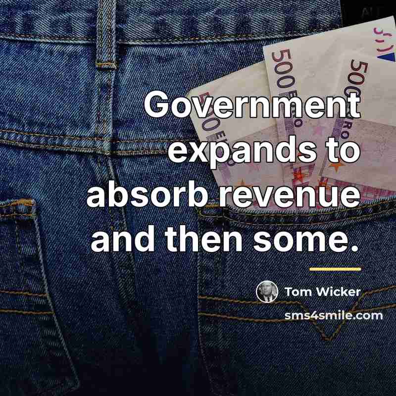 “Government expands to absorb revenue and then some.…” quote by Tom Wicker