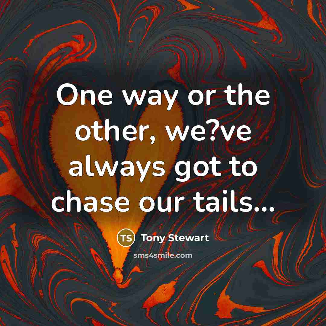 “One way or the other, we?ve always got to chase our tails…” quote by Tony Stewart