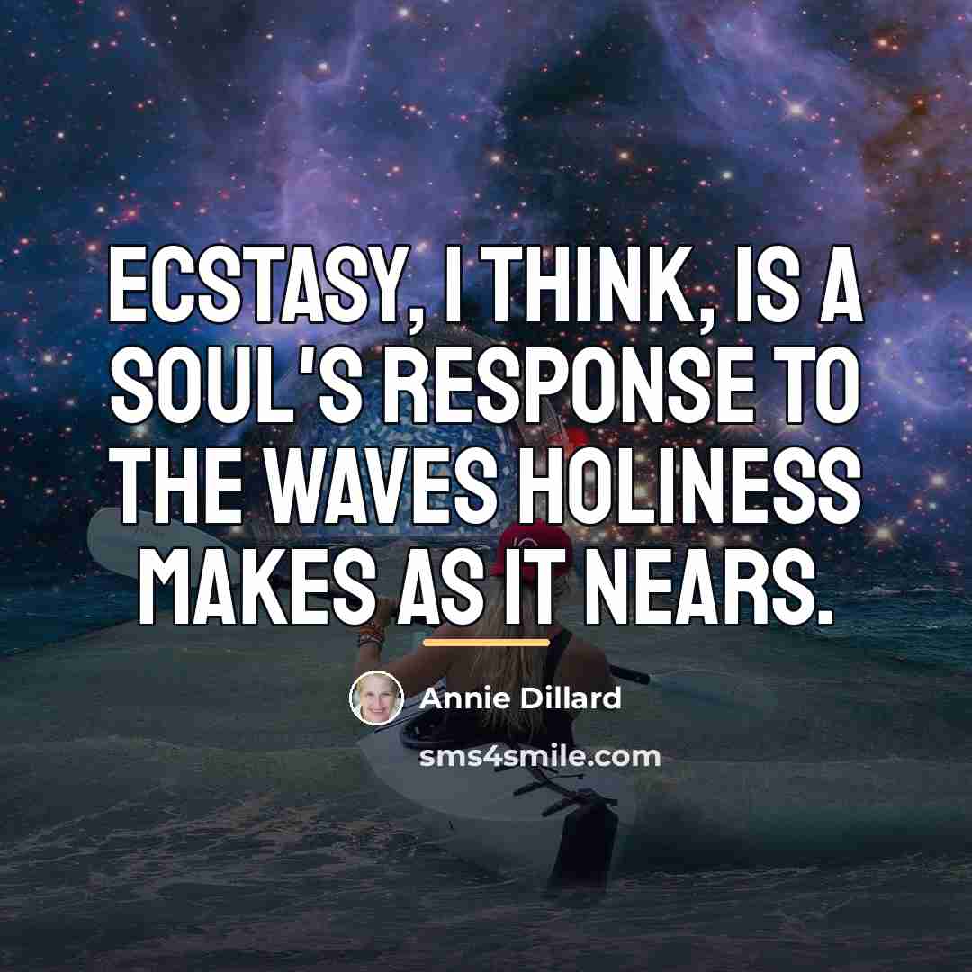 “Ecstasy, I think, is a soul's response to the waves…” quote by Annie Dillard