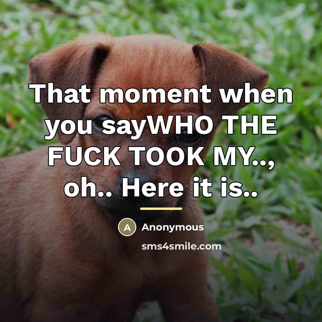 “That moment when you sayWHO THE FUCK TOOK MY.., oh..…” quote by Anonymous