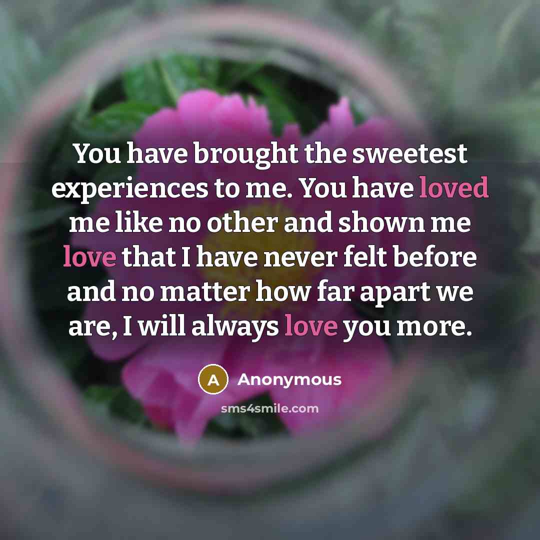 “You have brought the sweetest experiences to me. You have loved me like no other and shown me love that I have never felt before and no matter how far apart we are, I will always love you more.” quote by Anonymous