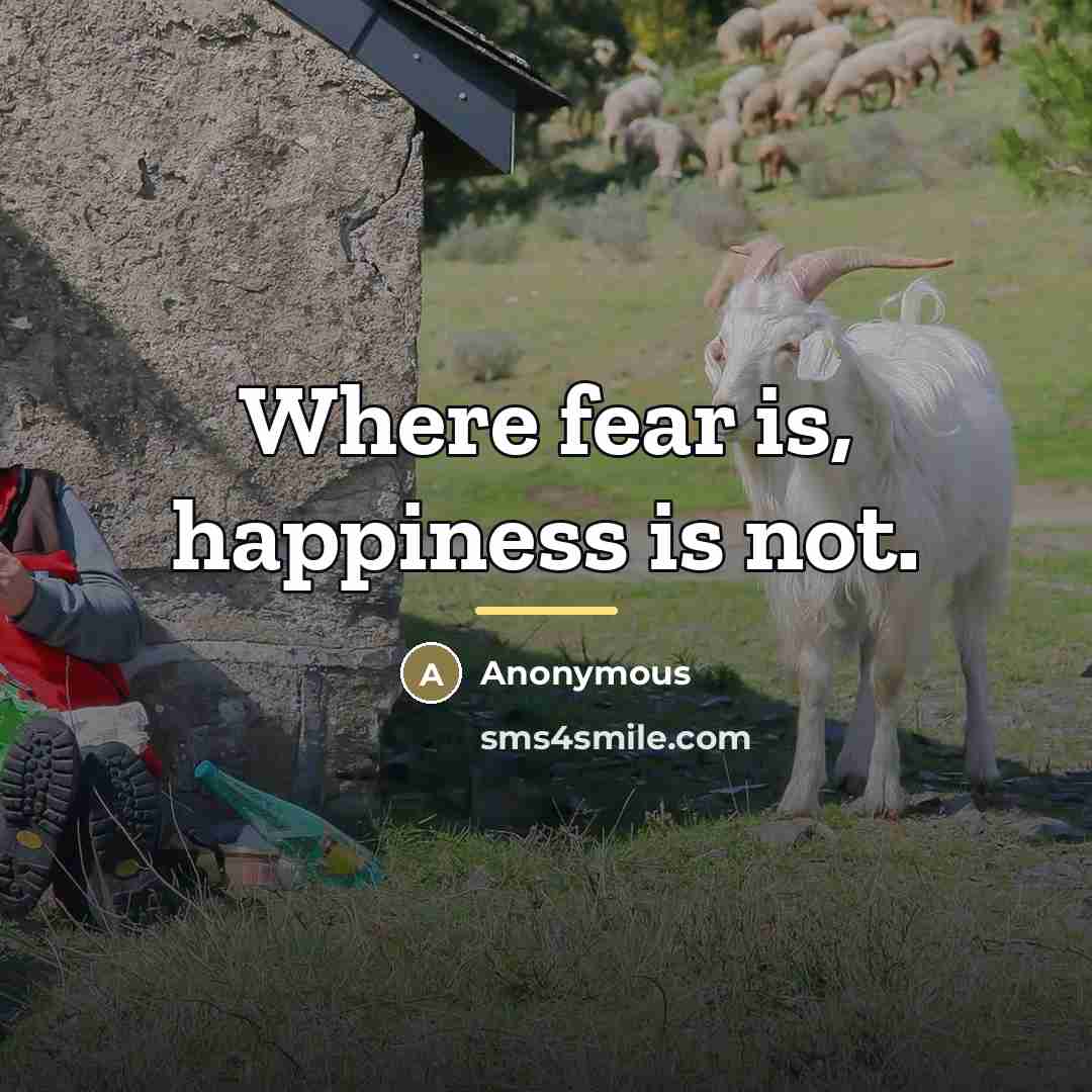 “Where fear is, happiness is not.…” quote by Anonymous