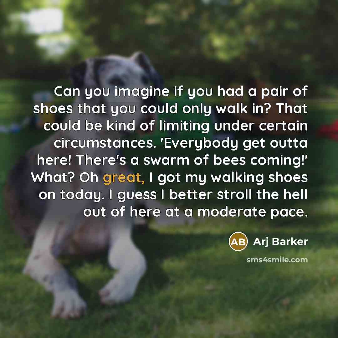 “Can you imagine if you had a pair of shoes…” quote by Arj Barker