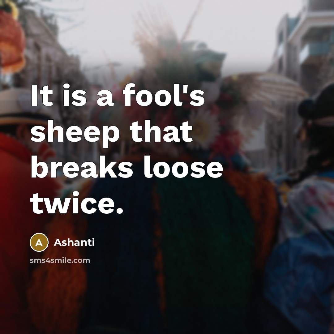 “It is a fool's sheep that breaks loose twice.…” quote by Ashanti