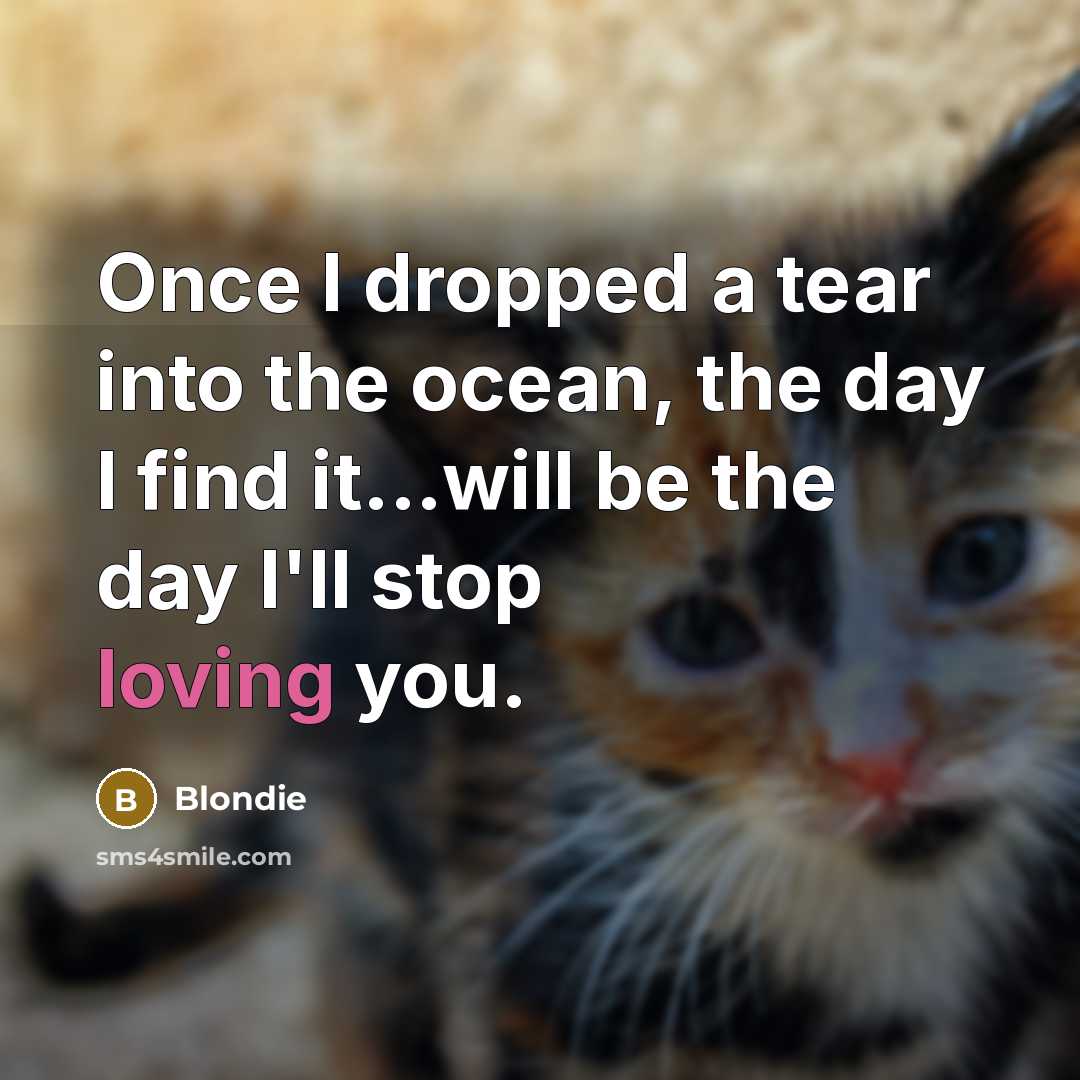 “Once I dropped a tear into the ocean, the day…” quote by Blondie