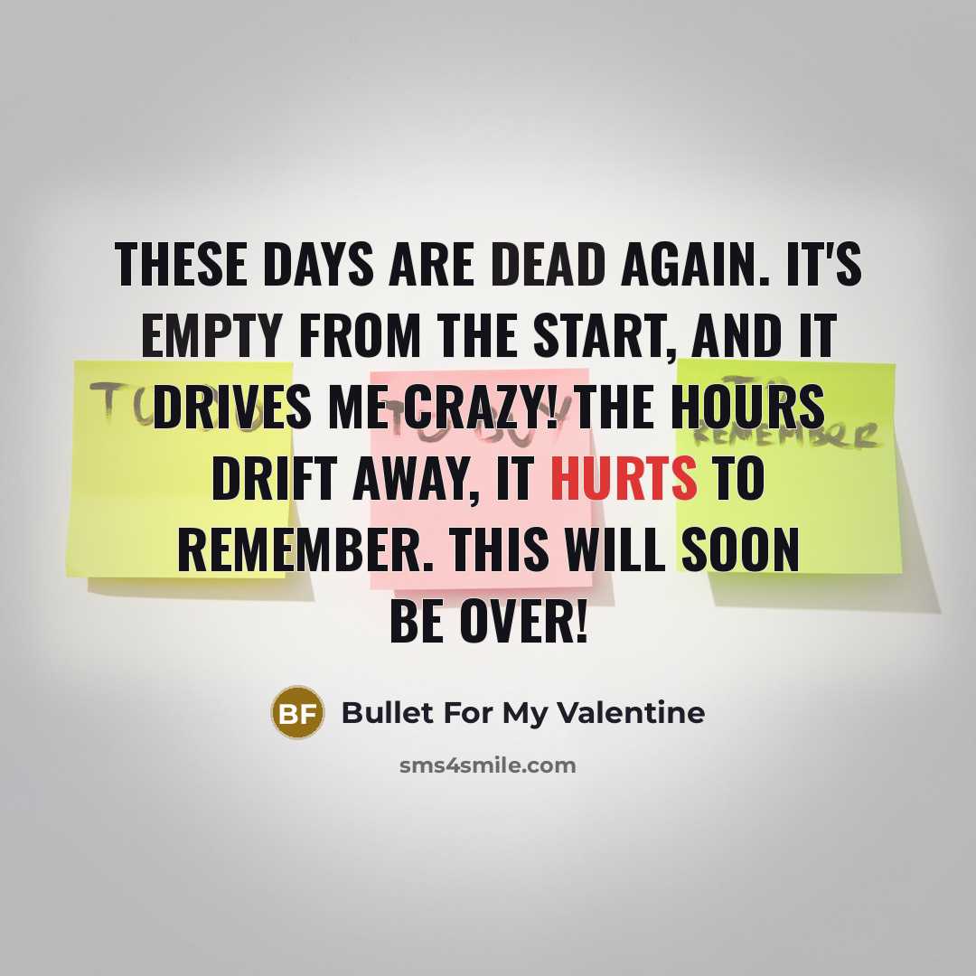 “These days are dead again. It's empty from the start, And it drives me crazy! The hours drift away, It hurts to remember. This will soon be over!” quote by Bullet For My Valentine
