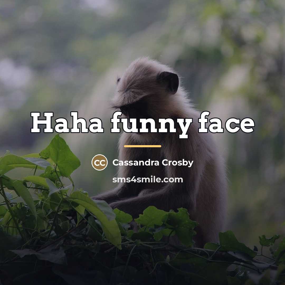 “Haha funny face…” quote by Cassandra Crosby