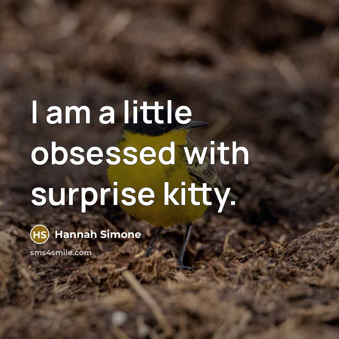 “I am a little obsessed with surprise kitty.…” quote by Hannah Simone