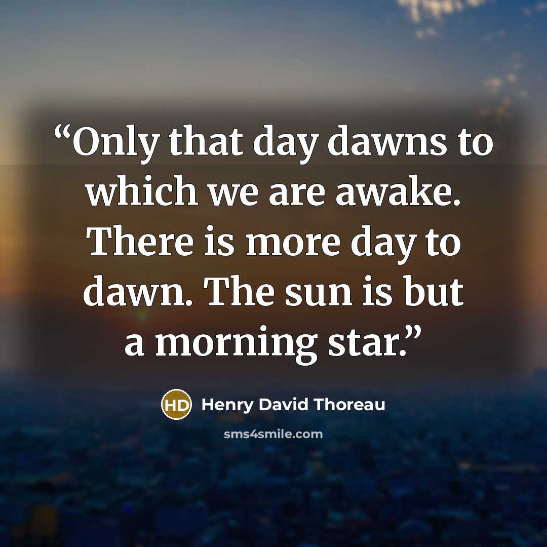 “Only that day dawns to which we are awake. There is more day to dawn. The sun is but a morning star.” quote by Henry David Thoreau