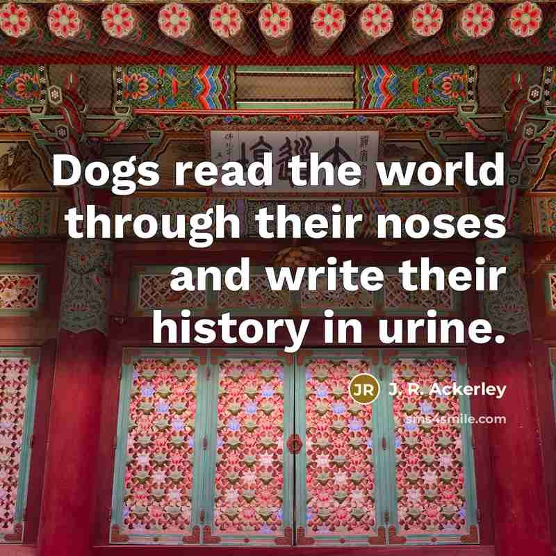 “Dogs read the world through their noses and write their…” quote by J. R. Ackerley