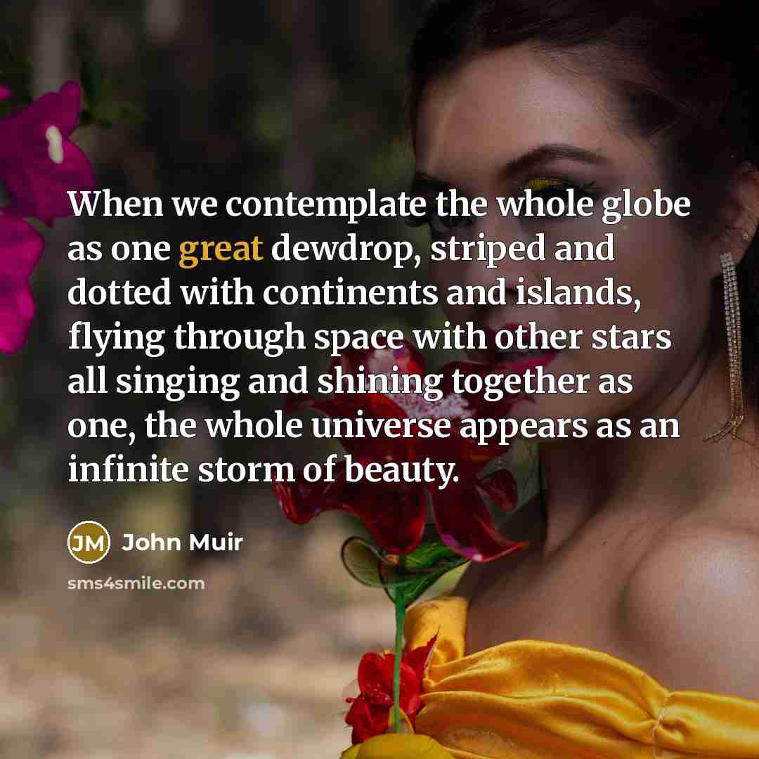 “When we contemplate the whole globe as one great dewdrop,…” quote by John Muir