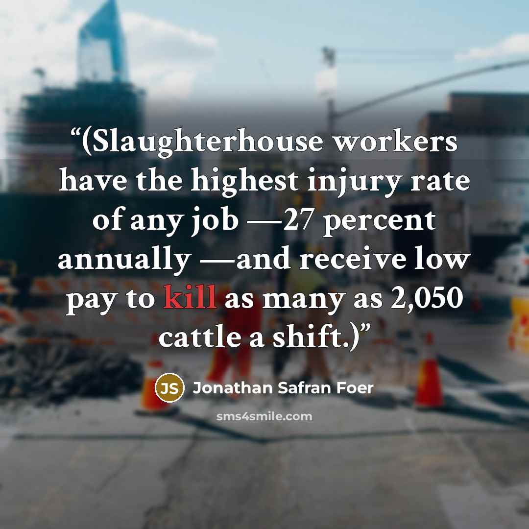 “(Slaughterhouse workers have the highest injury rate of any job —27 percent annually —and receive low pay to kill as many as 2,050 cattle a shift.)” quote by Jonathan Safran Foer