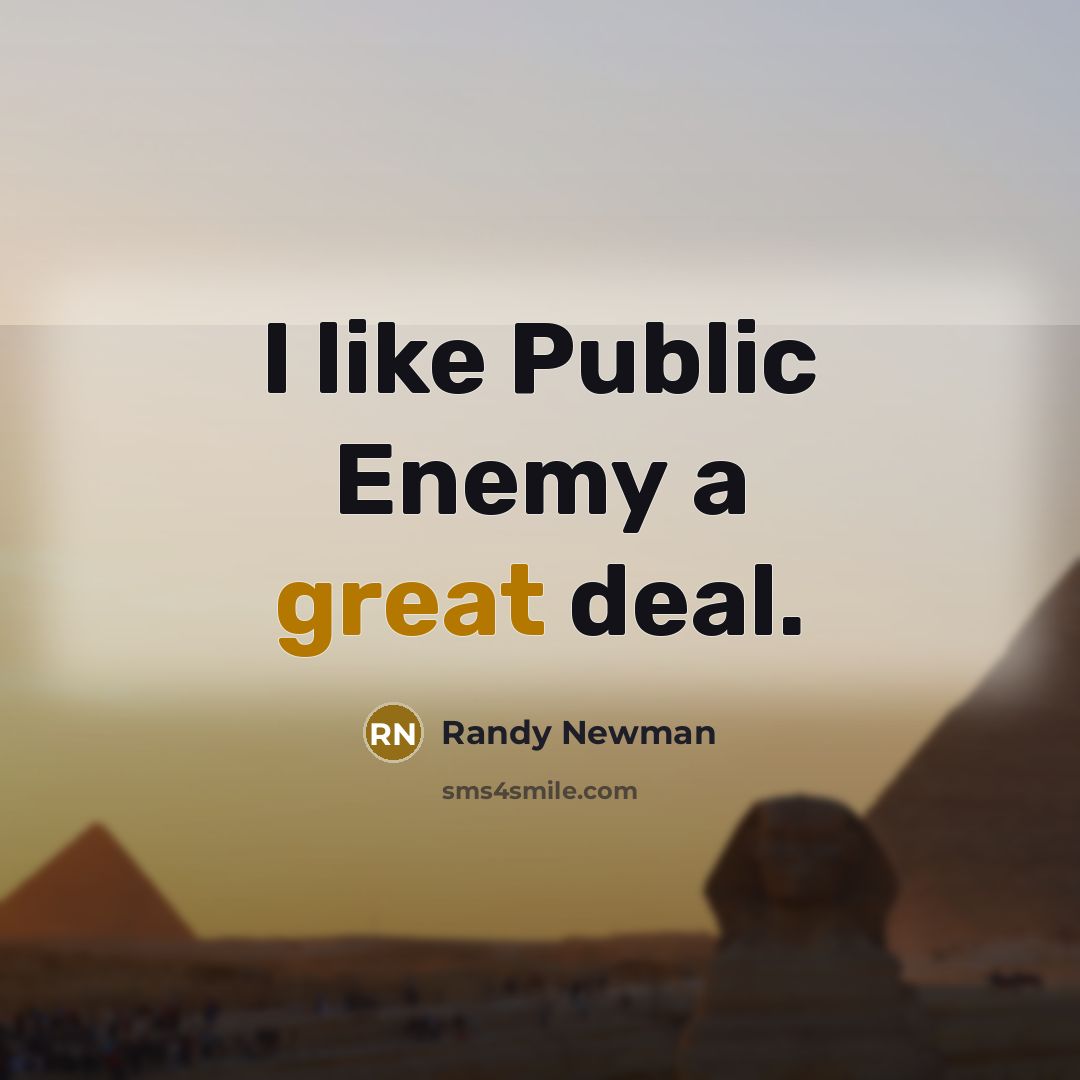 “I like Public Enemy a great deal.…” quote by Randy Newman