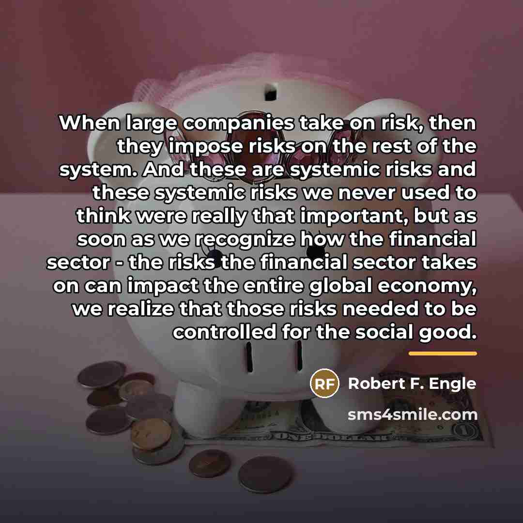 “When large companies take on risk, then they impose risks…” quote by Robert F. Engle