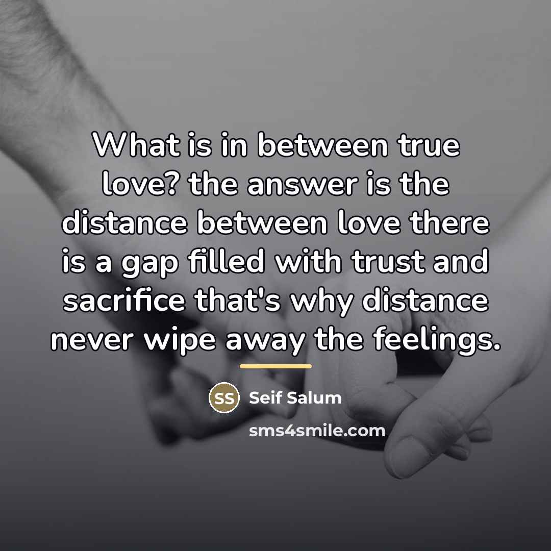“What is in between true love? the answer is the…” quote by Seif Salum