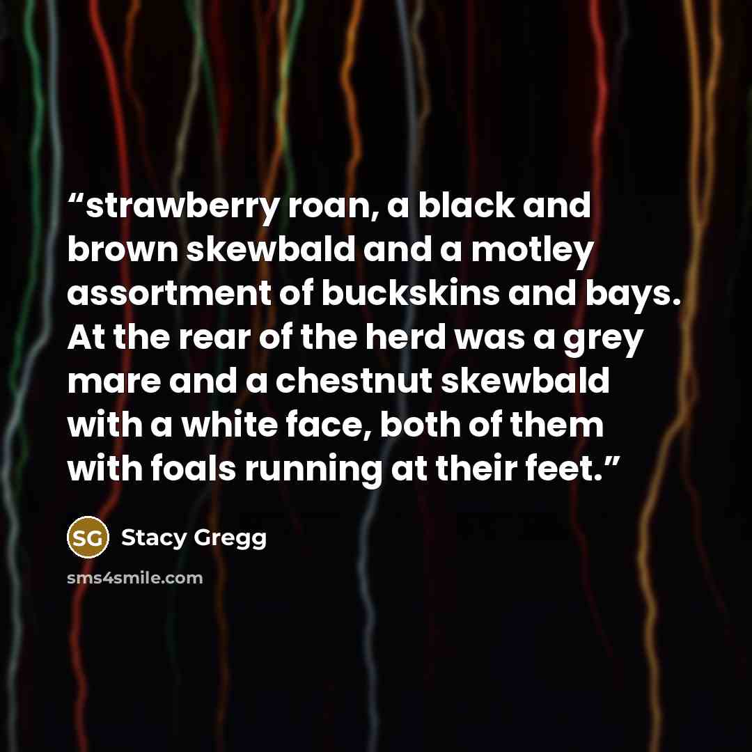 “strawberry roan, a black and brown skewbald and a motley assortment of buckskins and bays. At the rear of the herd was a grey mare and a chestnut skewbald with a white face, both of them with foals running at their feet.” quote by Stacy Gregg