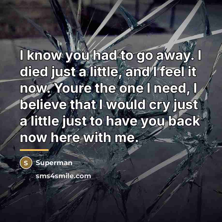 “I know you had to go away. I died just…” quote by Superman