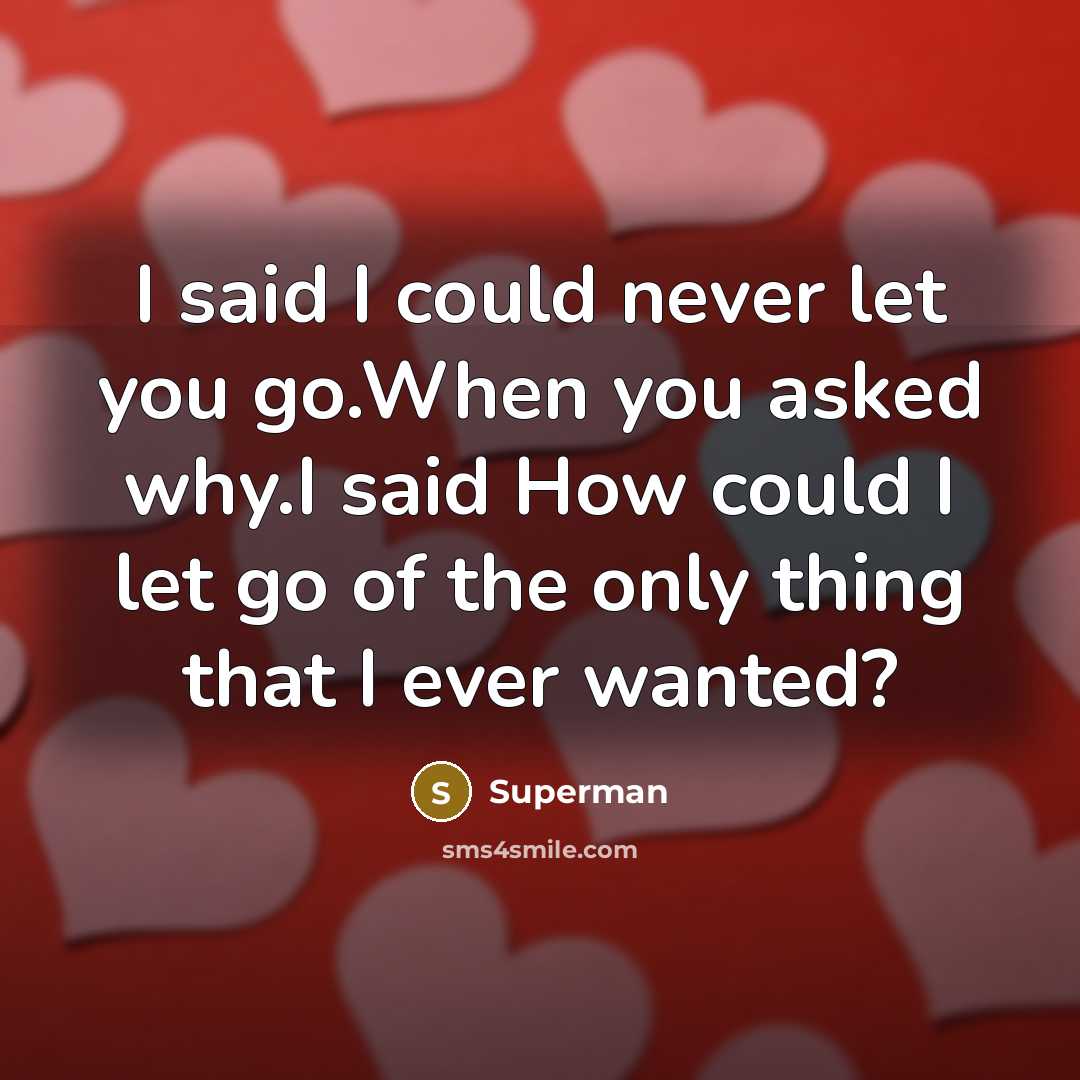 “I said I could never let you go.When you asked…” quote by Superman