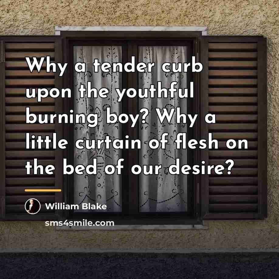 “Why a tender curb upon the youthful burning boy? Why…” quote by William Blake