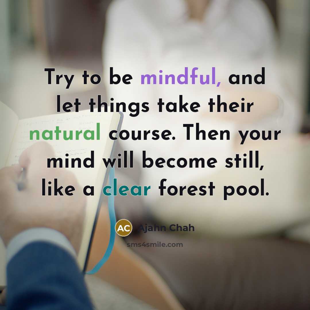 “Try to be mindful, and let things take their natural…” quote by Ajahn Chah