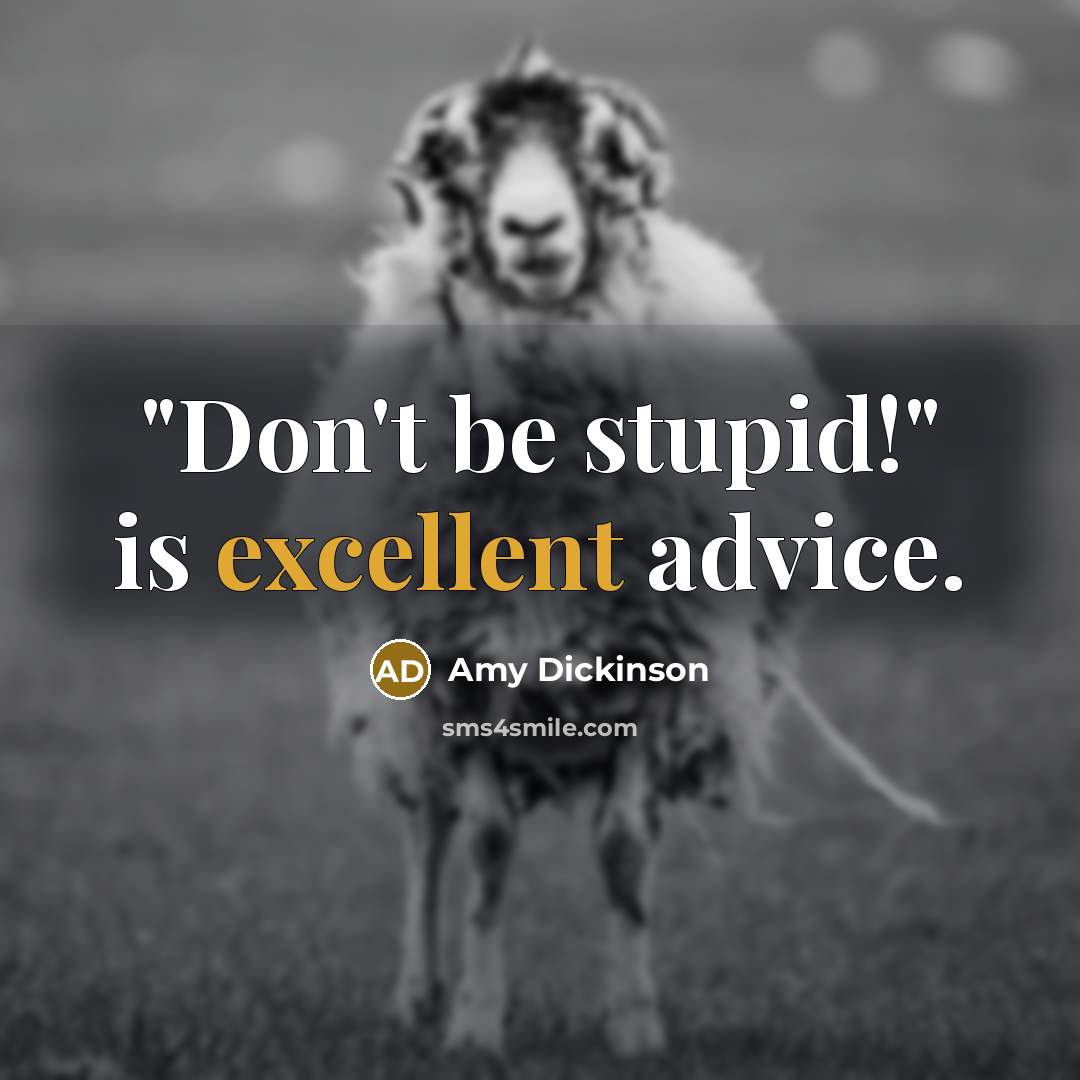“"Don't be stupid!" is excellent advice.…” quote by Amy Dickinson