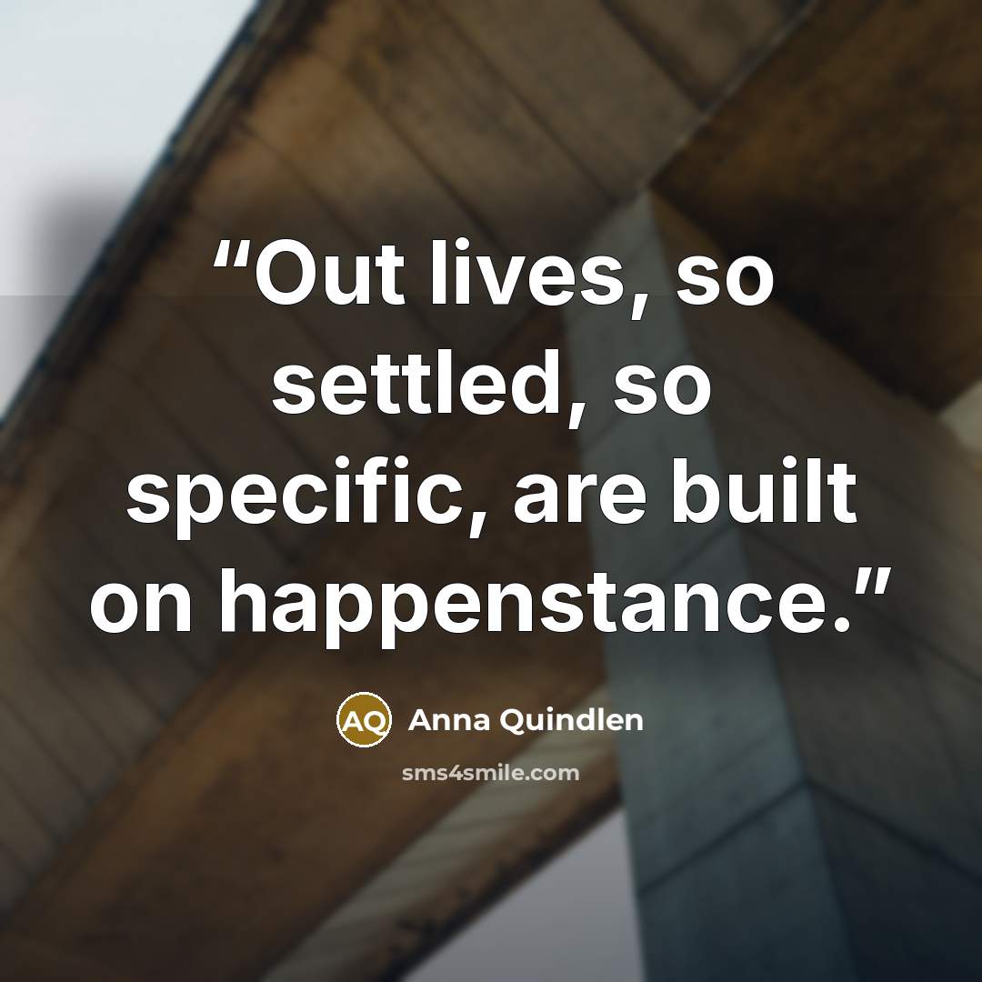 “Out lives, so settled, so specific, are built on happenstance.” quote by Anna Quindlen